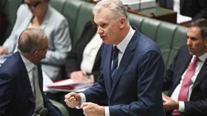 Business groups join forces to fight Albanese government reforms